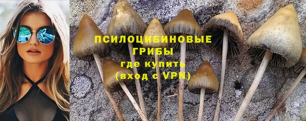 PSILOCYBIN Аркадак